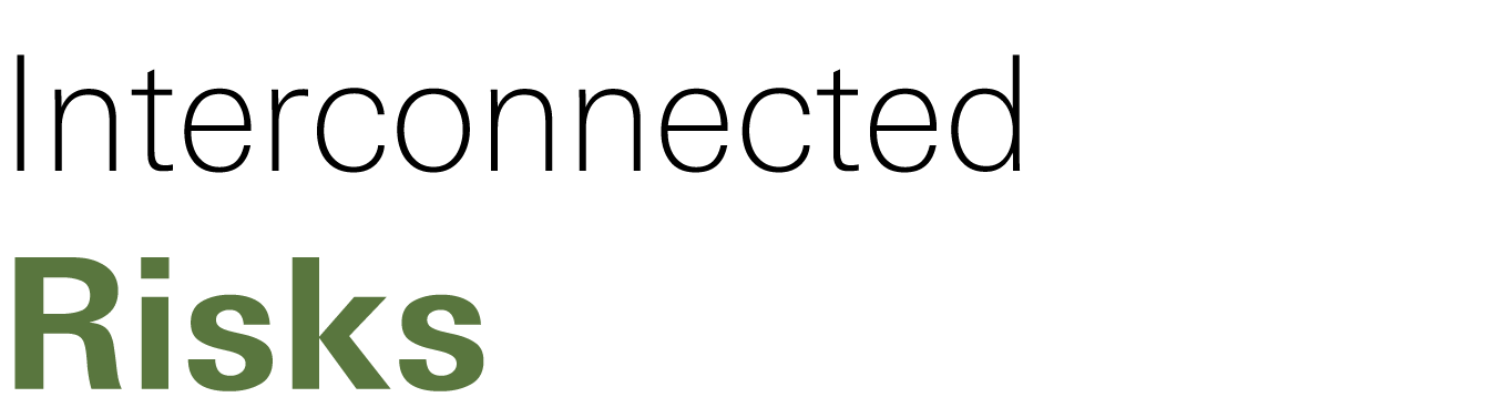 Interconnected Risks