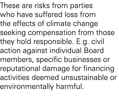 These are risks from parties who have suffered loss from the effects of climate change seeking compensation from thos...